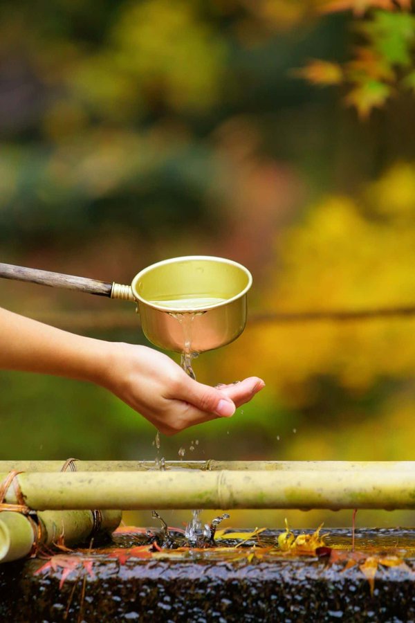 Effective Air Purification Tips to Minimize Allergens in Your UK Home